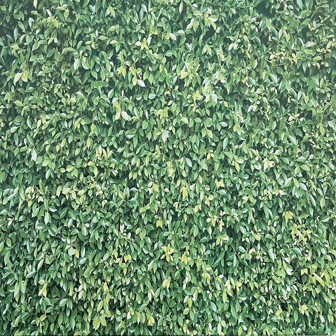 image of LEAVES backdrop for photobooth - available to hire